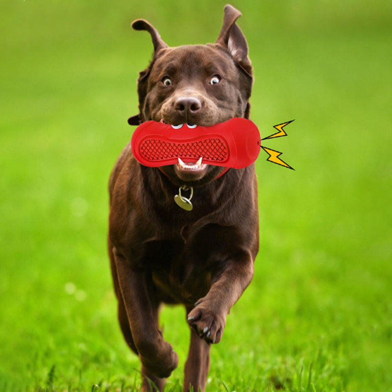 Interactive Vocal Pet Toy Natural Rubber Bite Resistant Chew Toy