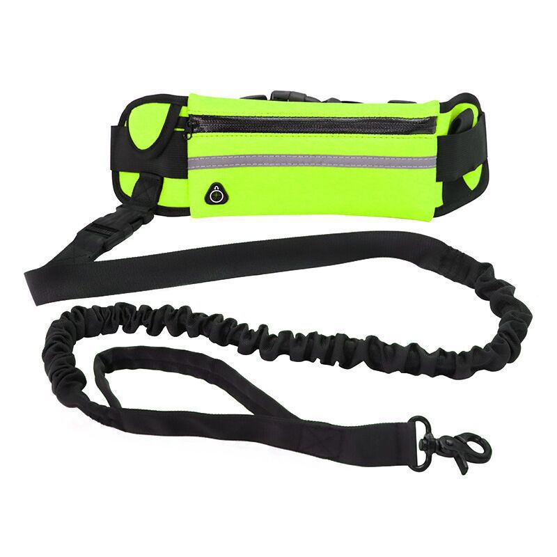 Pet Purse Leash For Convenient Hands Free Walking