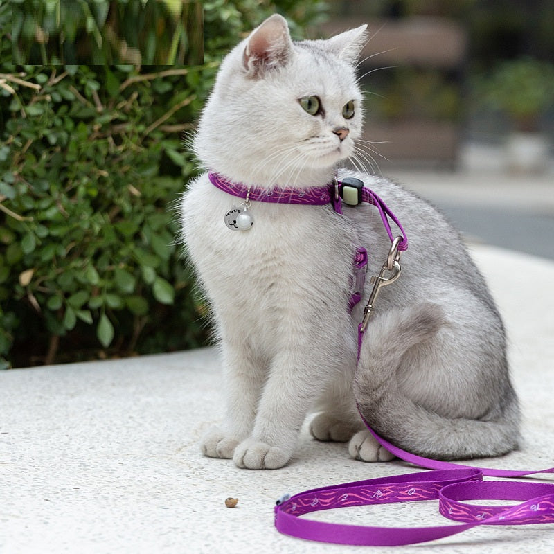 Pet Chest Strap Bell Vest With Adjustable Leash Harness