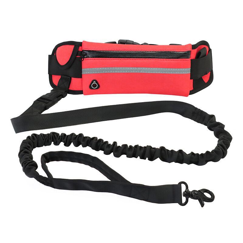 Pet Purse Leash For Convenient Hands Free Walking