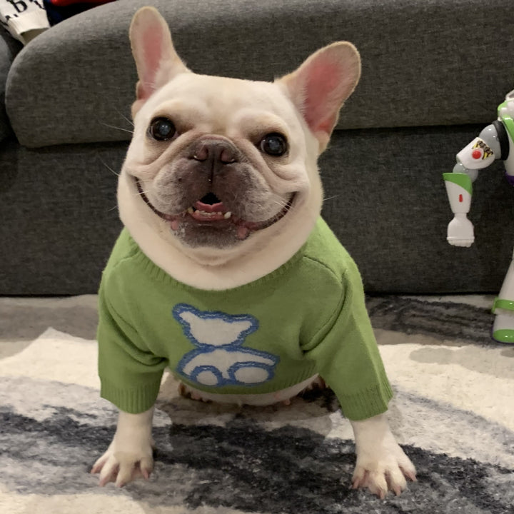 Autumn Winter Pet Sweater For Small Animal Wear