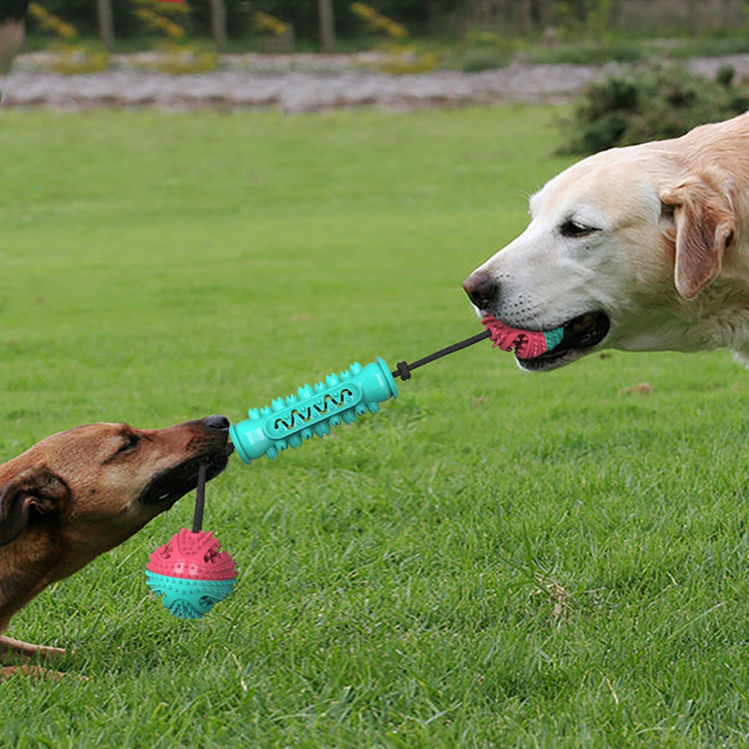 Durable Chew Stick Teeth Cleaning Pet Toy