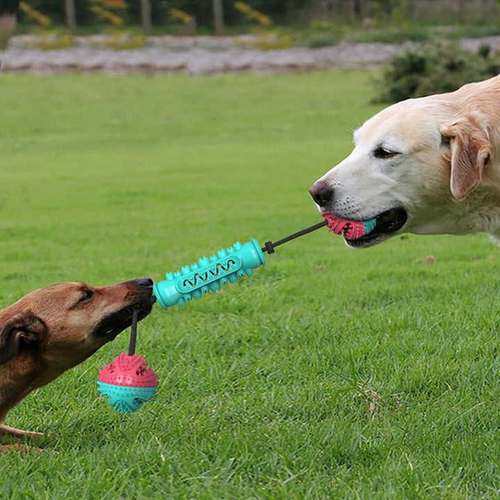 Durable Chew Stick Teeth Cleaning Pet Toy