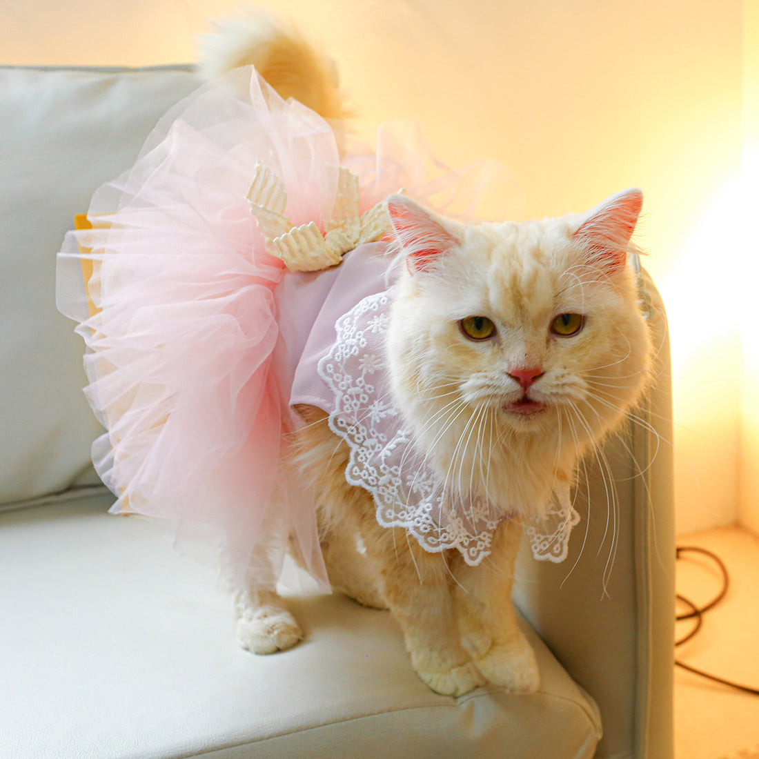 Lace Pet Clothing Outfit For Small Animal Wear