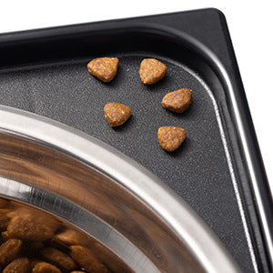 Elevated Anti Tumble Neck Protection Pet Feeding Bowl