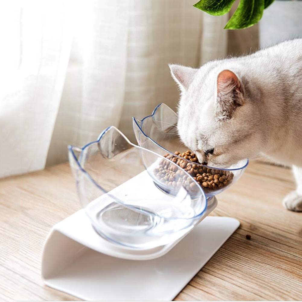 Non Slip Double Pet Bowl With Raised Stand Design