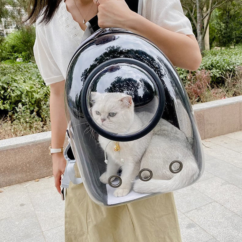 Transparent Skylight Breathable Pet Backpack With Large Capacity