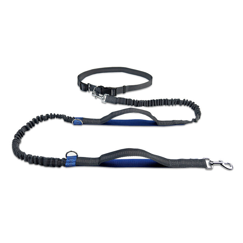 Multifunctional Reflective Double Pet Leash With Telescopic Design