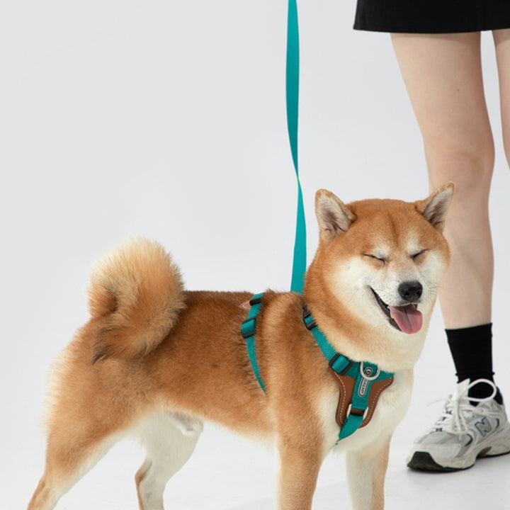 Multifunctional Explosion-Proof Pet Rope Leash Chest Strap