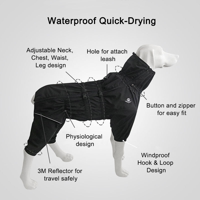 Four Legged All Inclusive Pet Sweater Outfit Wear