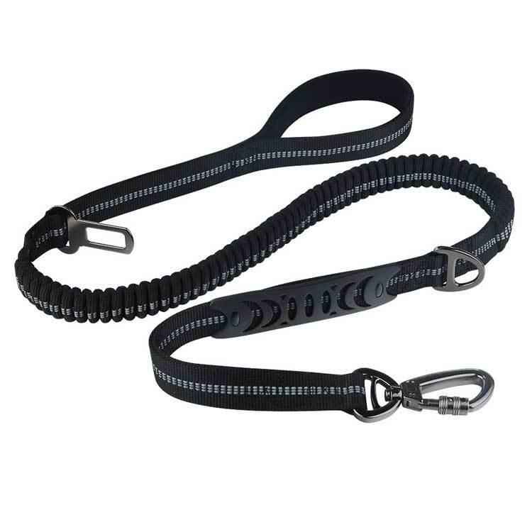 Fashion Retractable Rope Pet Leash Control Walking Lead