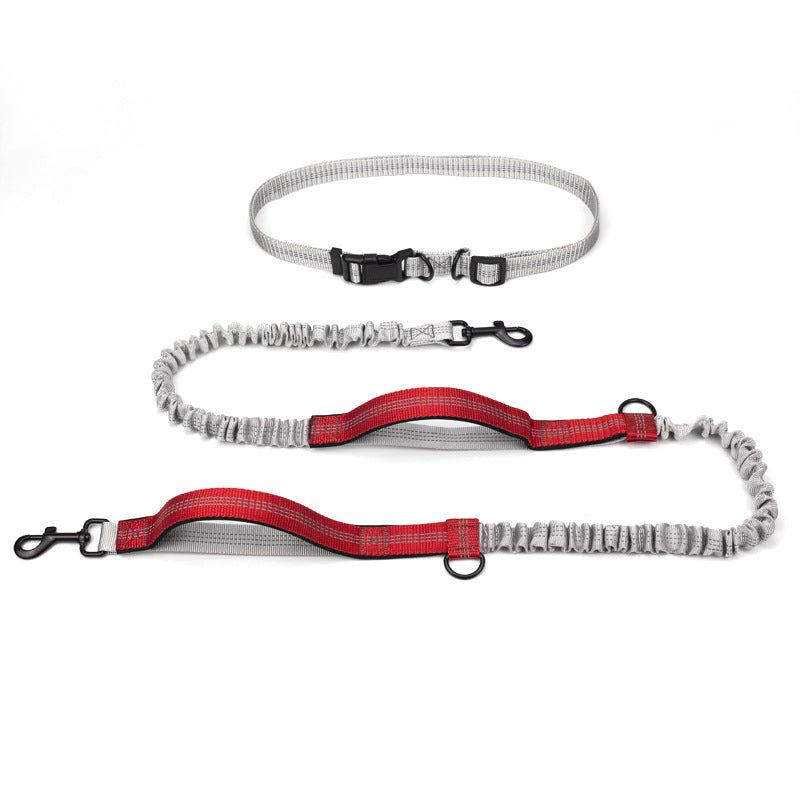 Outdoor Running Pet Leash Training Walking Rope