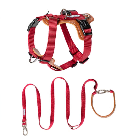 Multifunctional Explosion-Proof Pet Rope Leash Chest Strap