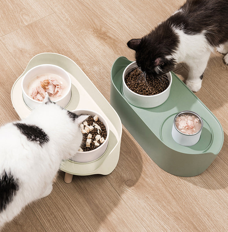 Adjustable Tilted Pet Double Bowl Set Spill Proof Design