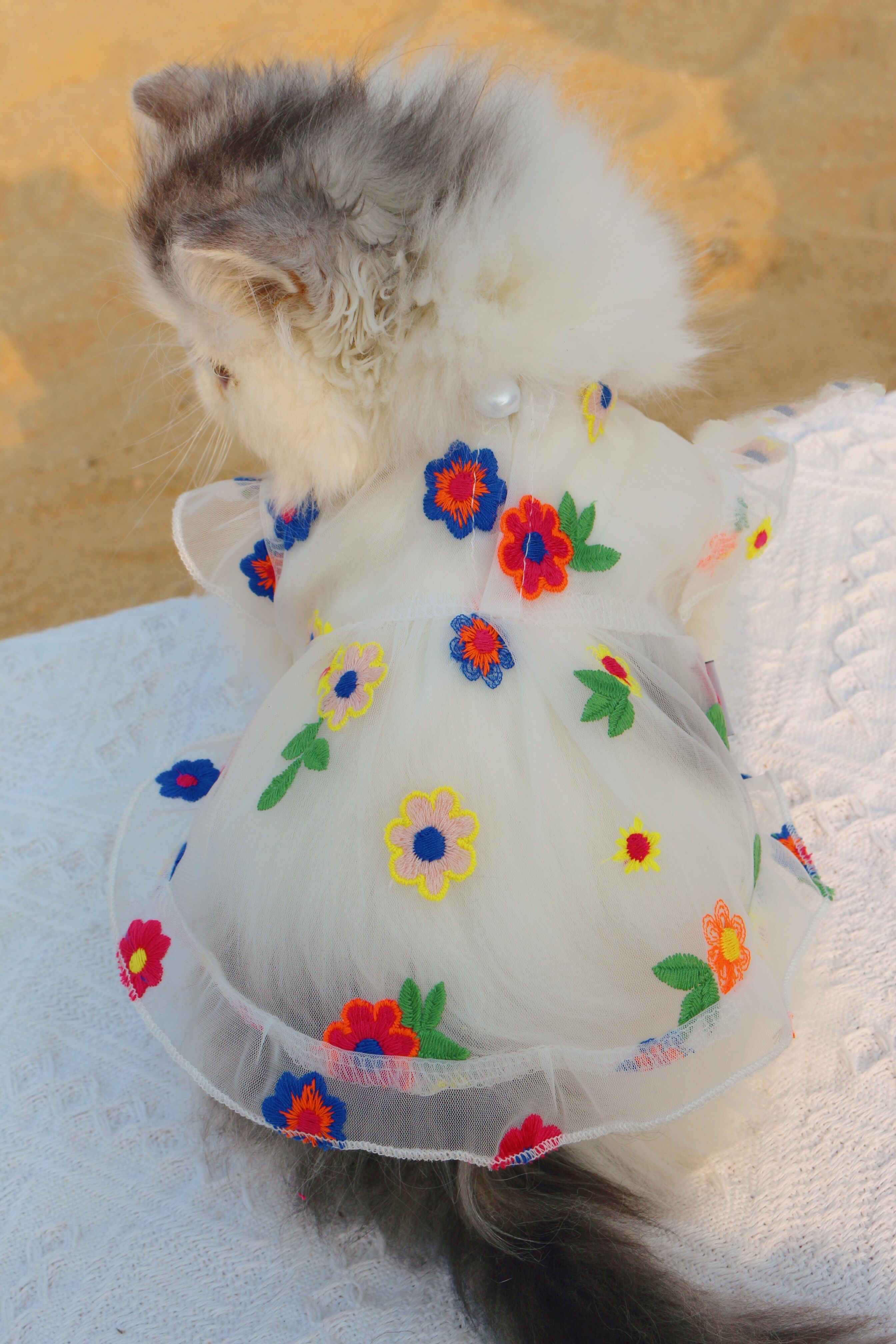 Mesh Embroidered Flower Pet Dress For Small Animals Wear