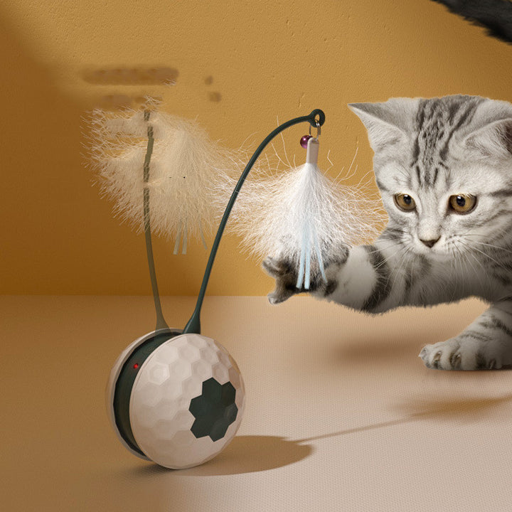 Enjoyable Electric Intelligent Bite Resistant Interactive Pet Toy