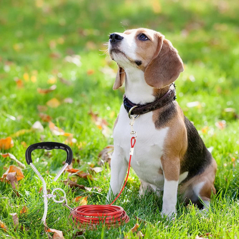 Double Hook Wire Rope Pet Leash Durable Walking Control