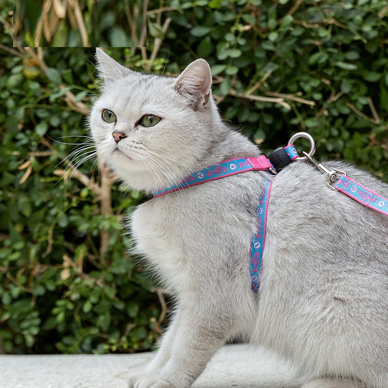 Pet Chest Strap Bell Vest With Adjustable Leash Harness