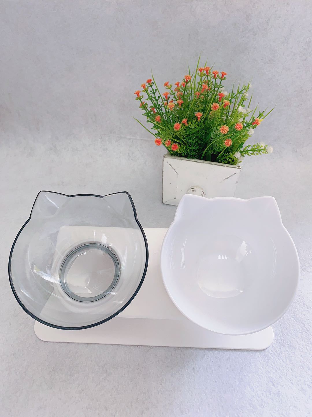 Non Slip Double Pet Bowl With Raised Stand Design