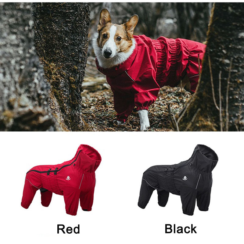 Four Legged All Inclusive Pet Sweater Outfit Wear