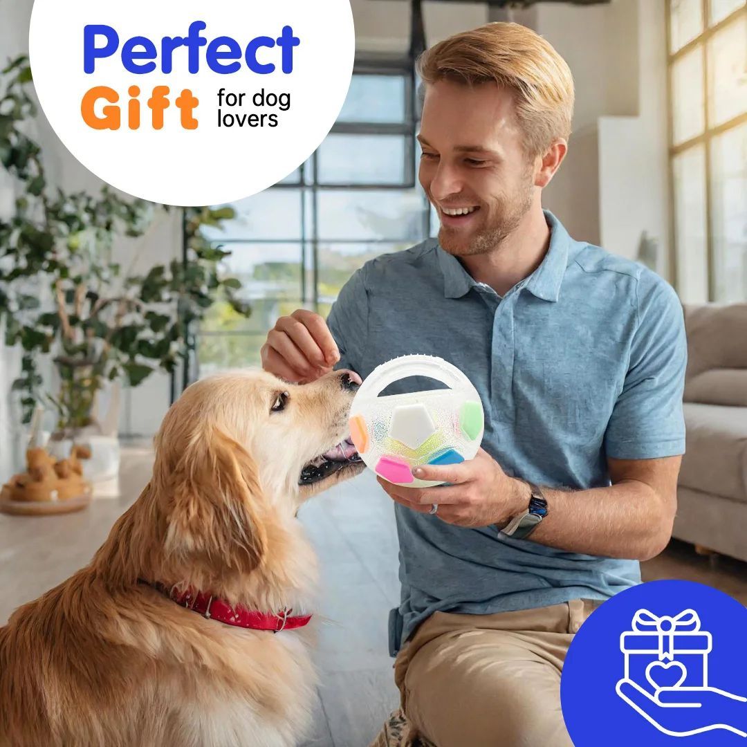 Football Tennis Ball Shaped Interactive Pet Toy Bite Resistant