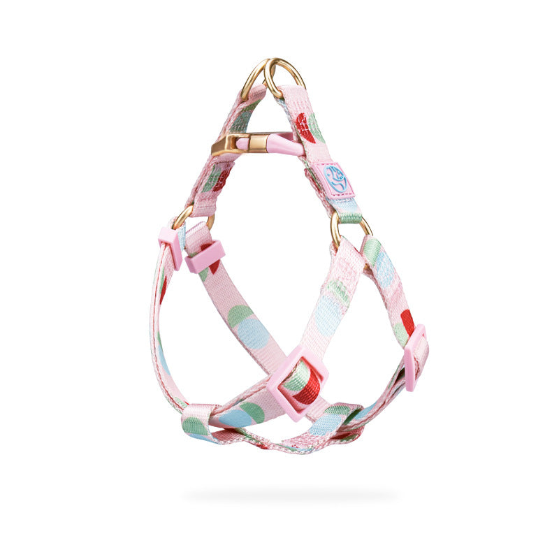 Fashion Y-Shaped Chest Strap Pet Leash Outdoor Control