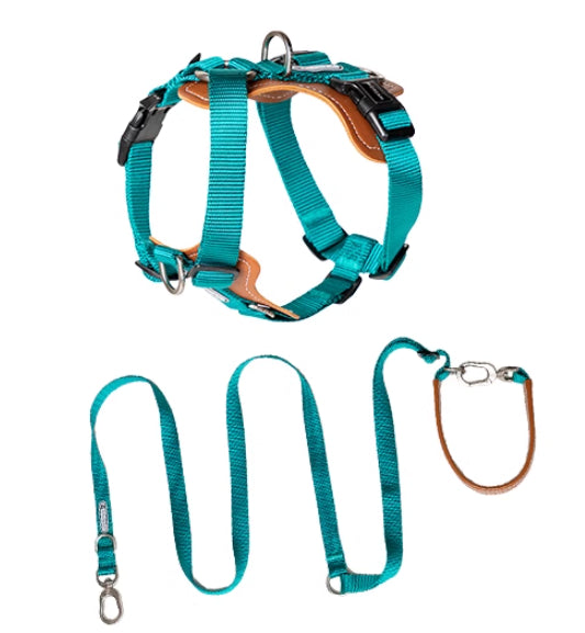 Multifunctional Explosion-Proof Pet Rope Leash Chest Strap