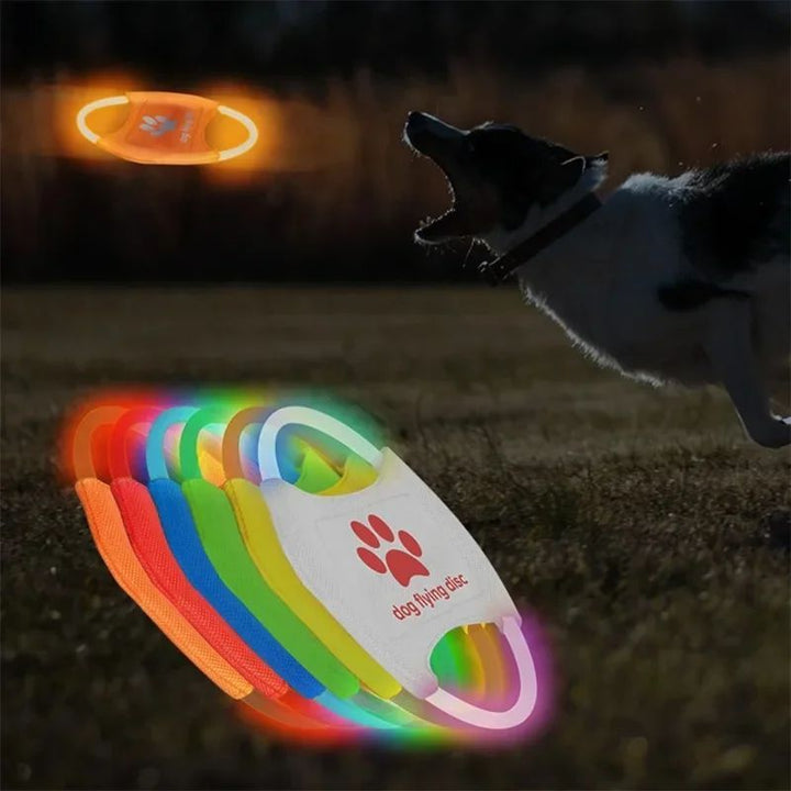 LED Glowing Flying Disc Interactive Pet Training Toy