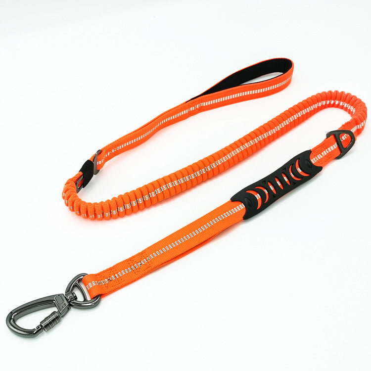 Fashion Retractable Rope Pet Leash Control Walking Lead