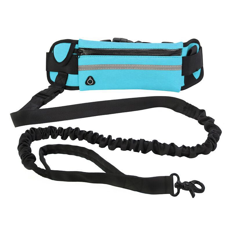 Pet Purse Leash For Convenient Hands Free Walking