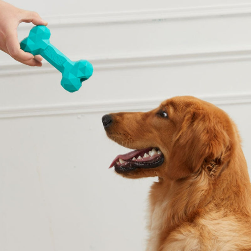 Pet Teeth Grinding Bite Resistant Rubber Bone Chew Toy