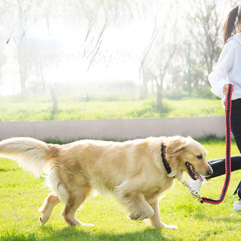 Heavy-Duty Nylon Braided Pet Collar And Training Leash