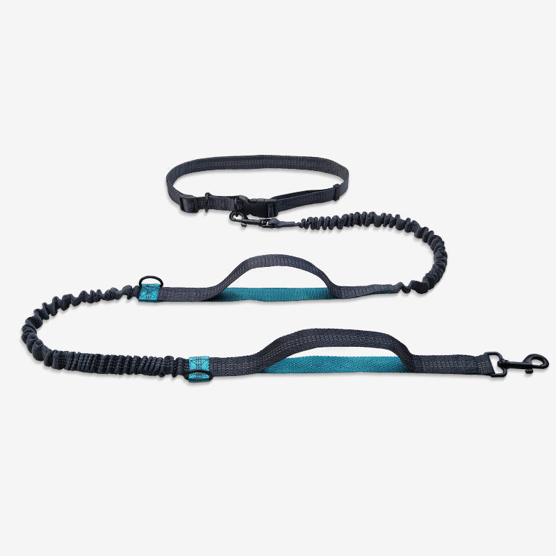 Multifunctional Reflective Double Pet Leash With Telescopic Design