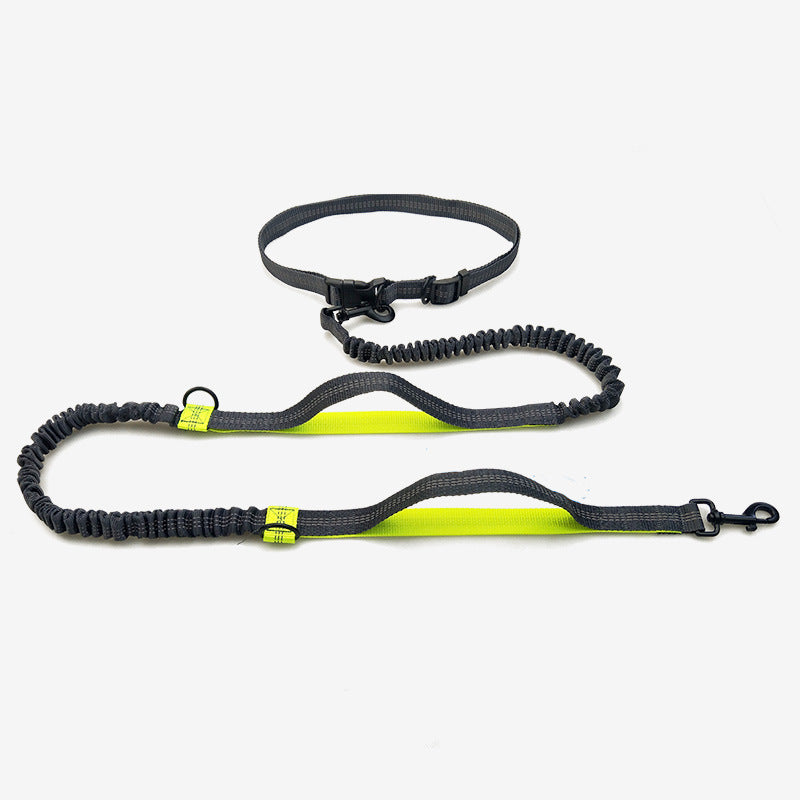 Multifunctional Reflective Double Pet Leash With Telescopic Design