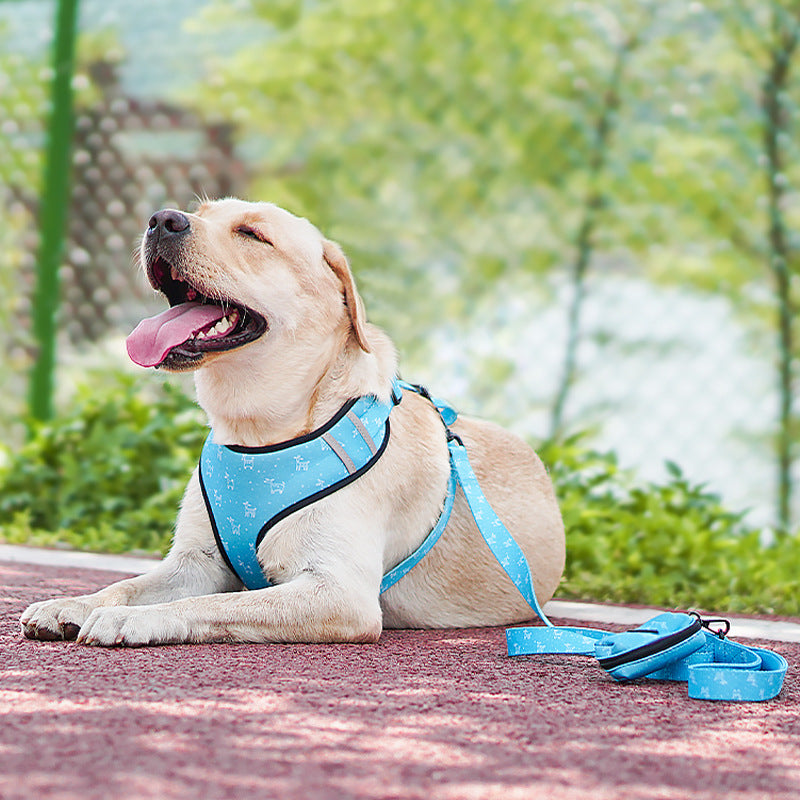 Pet Harness With Bow Adjustable Comfortable Walking Leash