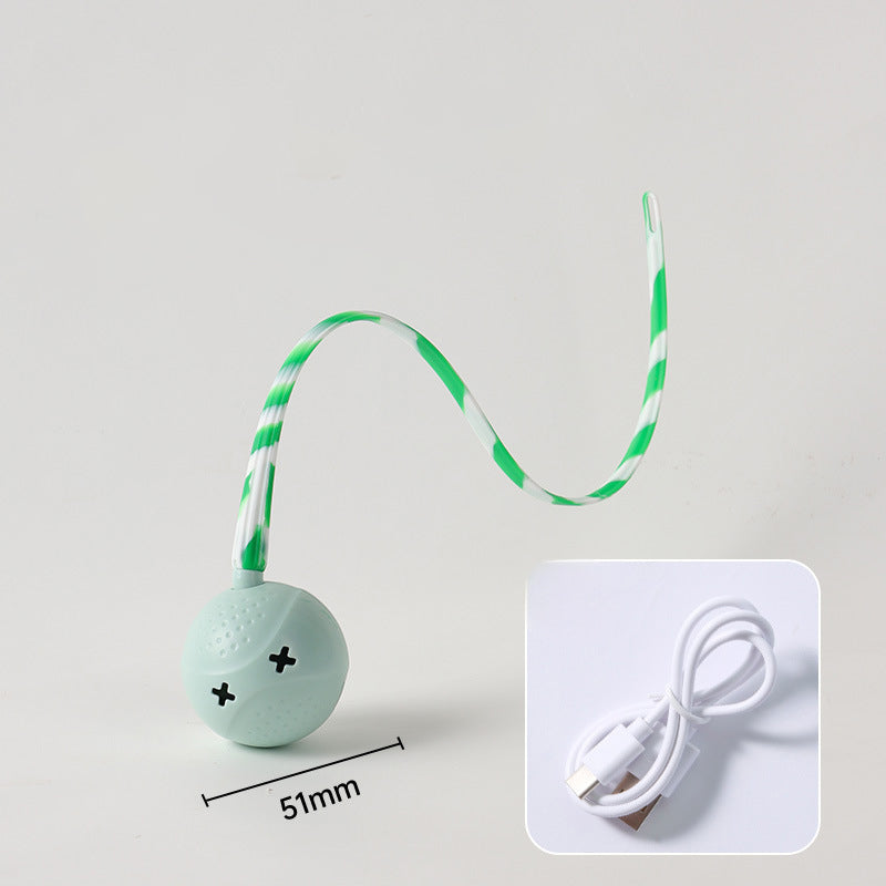 Interactive Electric Motion Activated Pet Ball Toy