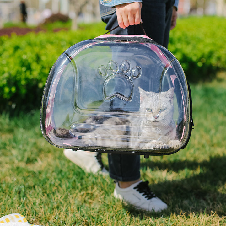 Portable Transparent Pet Backpack Travel School Bag