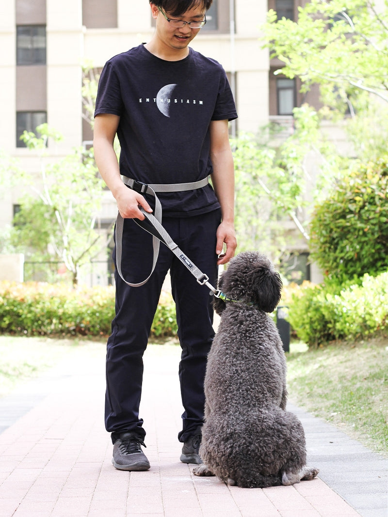 1.8M Multifunctional Pet Leash For Running And Walking