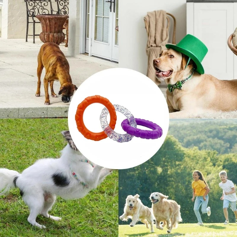 Floating Water Flying Disc Interactive Training Pet Toy Ring