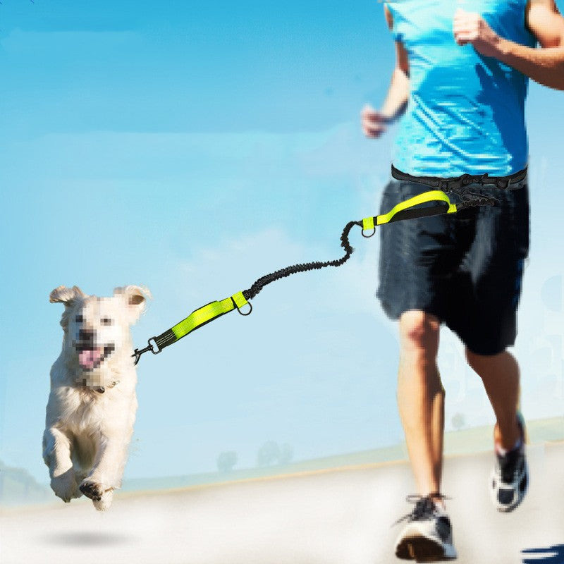 Multifunctional Reflective Double Pet Leash With Telescopic Design