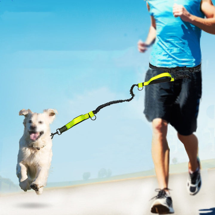 Multifunctional Reflective Double Pet Leash With Telescopic Design