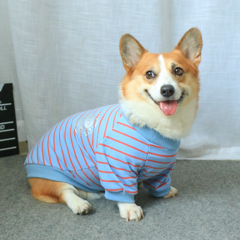 Pet Sweater Matching Outfit For Owners And Pets