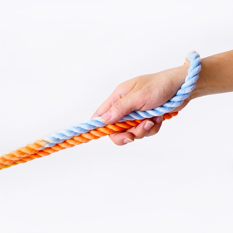 Dual Head Multifunctional Pet Leash For Walking Control