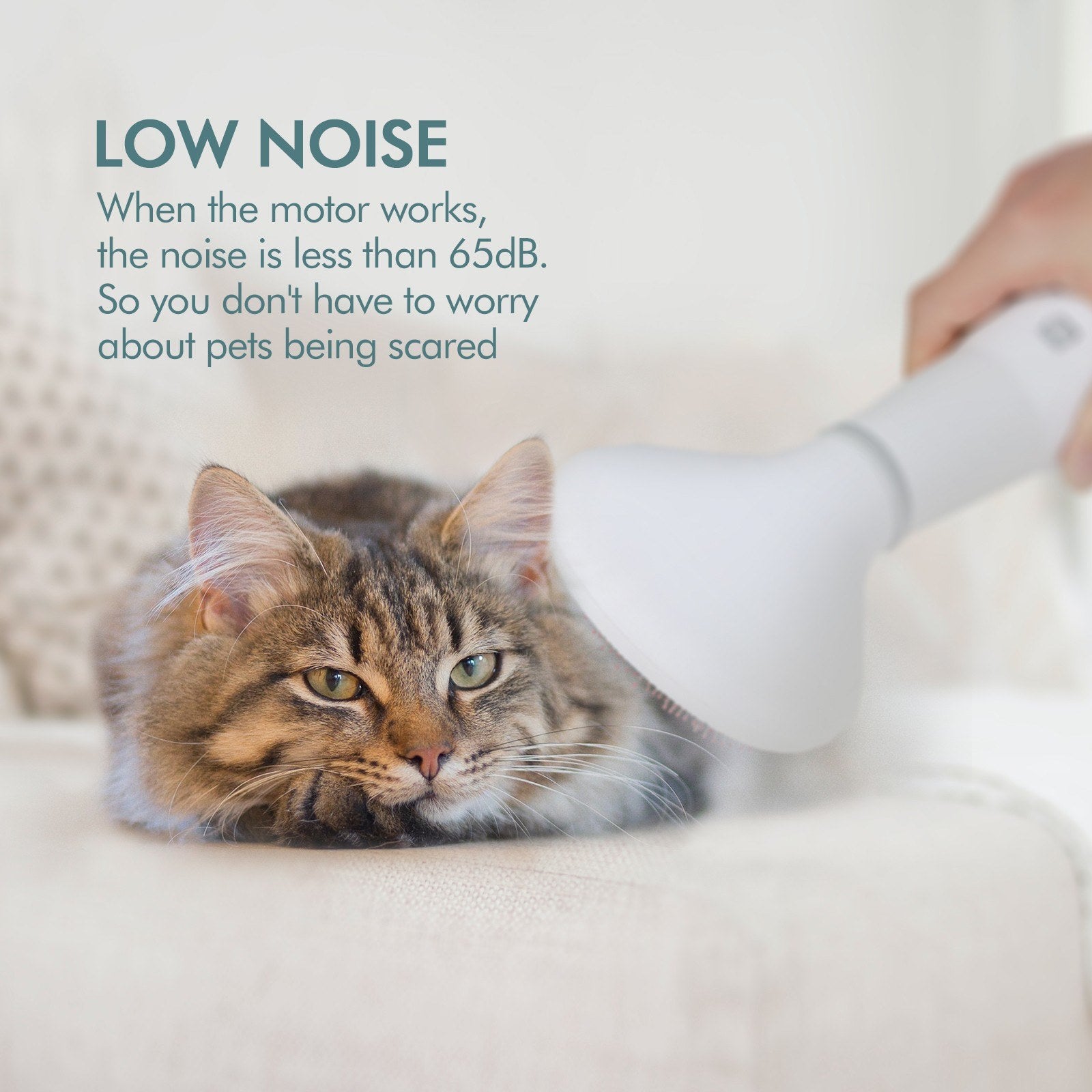 Pet Grooming Hair Dryer With Slicker Brush Attachment