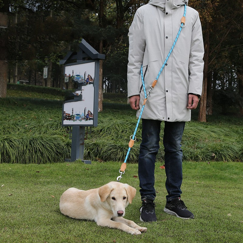 Multifunctional Leather Pet Leash With Hook Chain Design