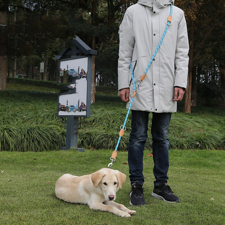 Multifunctional Leather Pet Leash With Hook Chain Design