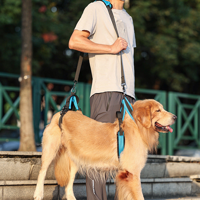 Pet Support Auxiliary Strap Durable Adjustable Walking Aid