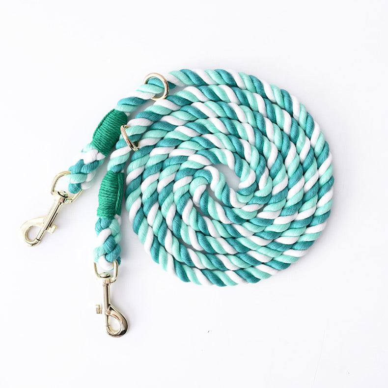 Dual Head Multifunctional Pet Leash For Walking Control
