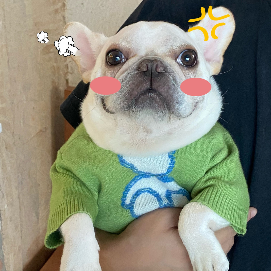 Autumn Winter Pet Sweater For Small Animal Wear