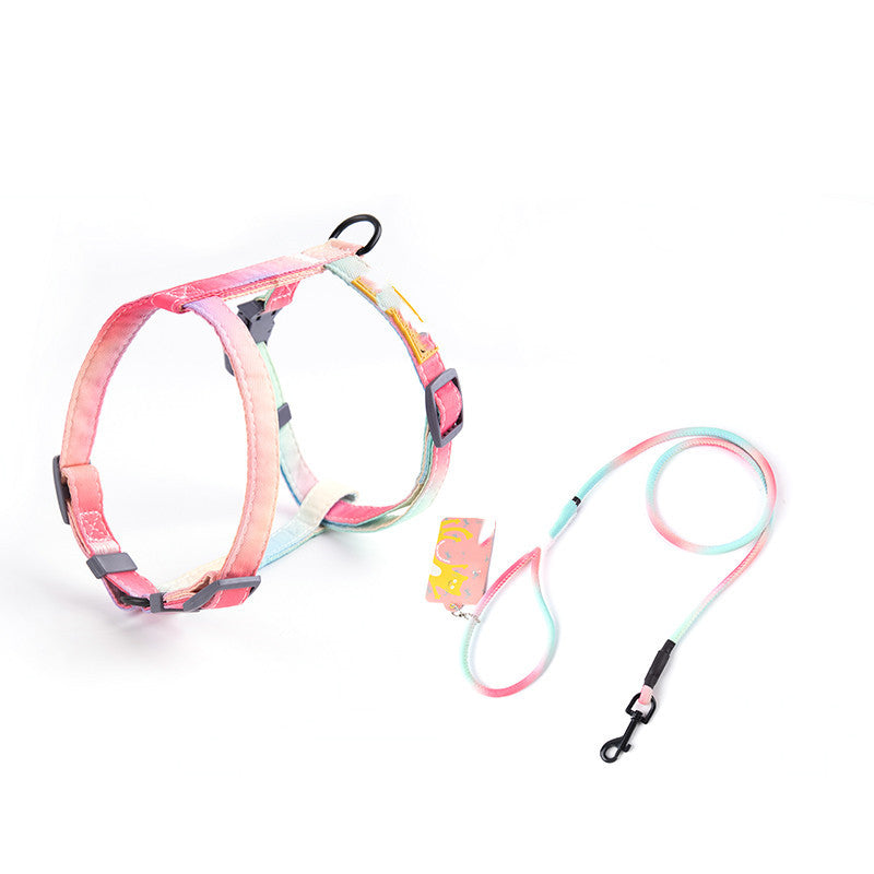 Fashion Anti-Escape Pet Leash Secure Walking Control